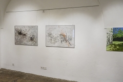 Andrea-Tierney-Brauhausgalerie-Freistadt-201711-web-1