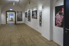 Andrea-Tierney-Brauhausgalerie-Freistadt-201711-web-7
