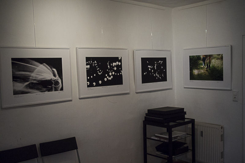 diARTGALERIE_HINTER-DEM-BILD-6