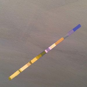 Andrea Tierney /Analog-Digital_Linie