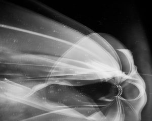 Mehr Bilder unter http://www.antoniazimmermann.at/videos/hinter-dem-bild Für Künstler ist die Teilnahme an diesem Projekt noch bis Ende Oktober 2018 gratis, wer Interesse hat:Video an der Wand DRTIVIVE Dancing Universe